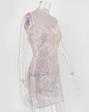 Nude Sequined Mesh See Through High Neck Sleeveless Mini Dress