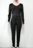 Black Rib V-Neck Long Sleeves Crop Top and High Waist Pants 2PCS Set