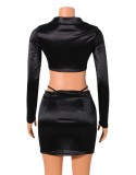 Black V-Neck Long Sleeves Turndown Collar Crop Top and Mini Skirt 2PCS Set