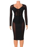 Black Mesh Patchwork V-Neck Long Sleeves Translucent Bodycon Midi Dress