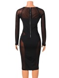 Black Mesh Patchwork V-Neck Long Sleeves Translucent Bodycon Midi Dress