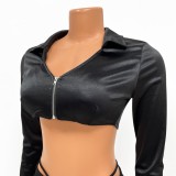 Black V-Neck Long Sleeves Turndown Collar Crop Top and Mini Skirt 2PCS Set