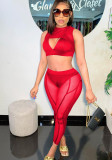 Red Mesh Patchwork O-Neck Sleeveless Crop Top and Cami Crop Top with Skinny Pants 3PCS Set