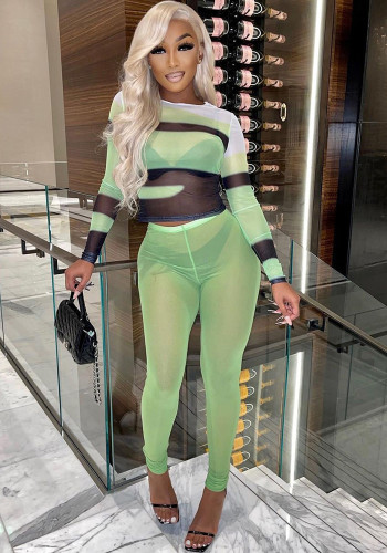 Green Mesh O-Neck Long Sleeves Translucent Top and Tight Pants 2PCS Set
