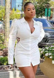 White Lace Up Turndown Collar Long Sleeves Mini Blouse Dress