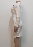 White Turndown Collar Long Sleeves Zip Up Skinny Mini Dress