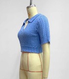 Blue Knitted Turndown Collar V-Neck Short Sleeves Crop Top