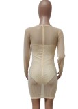 Nude Crystal Mesh See Through O-Neck Long Sleeve Mini Dress