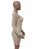 Nude Crystal Mesh See Through O-Neck Long Sleeve Mini Dress
