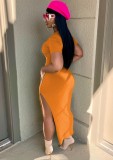 Orange Turndown Collar V-Neck Short Sleeves Slit Long Dress