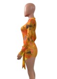 Print Orange Mesh O-Neck Long Sleeves Translucent Top and Mini Skirt 2PCS Set