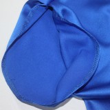 Plus Size Blue Silk V-Neck Short Sleeves Loose Long Dress
