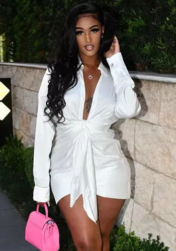 White Silk Turndown Collar Long Sleeves Mini Blouse Dress