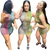 Multicolor Turtleneck Sleeveless Slim Fit Mini Dress