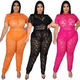 Plus Size Black Lace See Through Round Neck Short Sleeves Top and Pants 2PCS Set