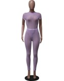 Purple Mesh Midi Neck Short Sleeves Top and High Waist Pants 2PCS Set
