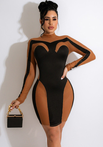 Brown and Black Contrast Turtleneck Long Sleeves Mini Bodycon Dress