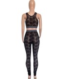 Black Floral Lace Sleeveless Crop Top and High Waist Fitted Pants 2PCS Set