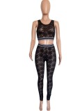 Black Floral Lace Sleeveless Crop Top and High Waist Fitted Pants 2PCS Set