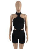 Black Halter Sleeveless Irregular Top and High Waist Shorts 2PCS Set