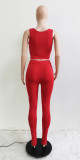 Red Sleeveless Tank Crop Top and Color Block Hollow Out Pants 2PCS Set