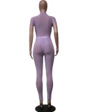 Purple Mesh Midi Neck Short Sleeves Top and High Waist Pants 2PCS Set