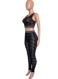 Black Floral Lace Sleeveless Crop Top and High Waist Fitted Pants 2PCS Set