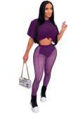 Purple Short Sleeves O-Neck Crop Top and Mesh See Through Pants 2PCS Set