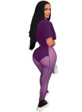 Purple Short Sleeves O-Neck Crop Top and Mesh See Through Pants 2PCS Set