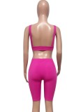 Rose V-Neck Sleeveless Crop Top and High Waist Fitted Shorts 2PCS Set
