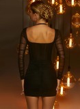 Black Mesh Patchwork Long Sleeves Mini Fitted Bustier Dress