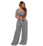 Striped Print Short Sleeved V-Neck Crop Top and Loose Pants 2PCS Set