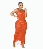 Jacquard Knitted Sleeveless Tassel Cami Maxi Beach Dress