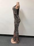 Shiny Sequin Sleeveless V-Neck Maxi Dress