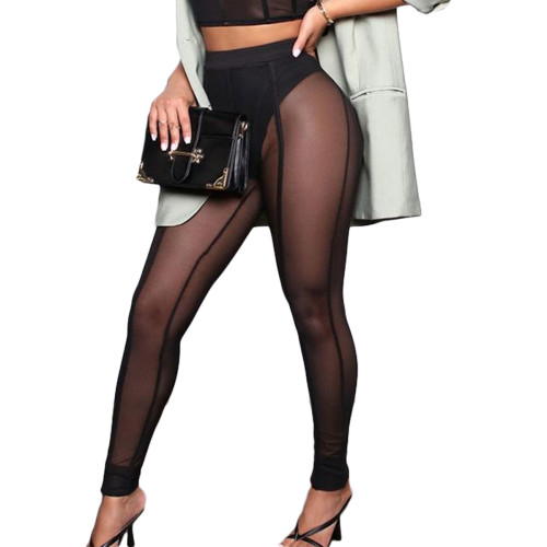 Mesh See Through High Waist Sheer Fitted Pants