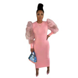 Mesh Puffed Long Sleeve Long Fitted Dress