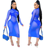 Mesh Long Sleeves Dress and Cut Out Cami Bobysuit 2PCS Set