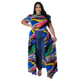 Plus Size Print Multicolor Mesh Mock Neck Short Sleeves Long Dress