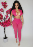Sexy See Through Mesh High Waist Leggings with Sleeveless Short Top Two-piece Set