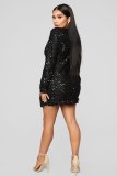 Sequins Double Breasted Long Sleeve Office Dress