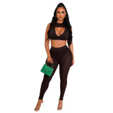 Mesh Patchwork Crop Top Slim Pants Two Piece Outfits