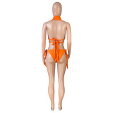 Solid 3PCS Swimwear Turndown Collar Halter Bikini Set with Pleated Skirt Cover Up