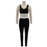 Contrast Panel Cropped Tank Top and Pants Two Pieces
