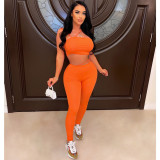 Solid Crop Top & Pant Sexy Bodycon Two Piece Set