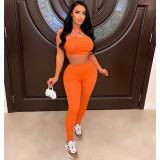 Solid Crop Top & Pant Sexy Bodycon Two Piece Set
