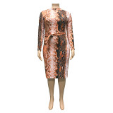 Plus Size Print Zip Up Long Sleeve Front and Back Two-Side Can Wear Dress