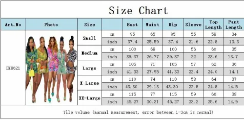 Print Silk Long Sleeve Blouse and Shorts 2PCS Set