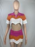 Patchwork Kintted Short Sleeves Crop Top and Mini Skirt 2PCS Set
