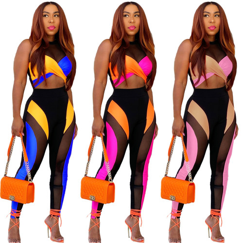 Color Block O-Neck Crop Top  And Pant 2PCS Set