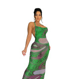 Print Mesh Cami Sleeveless Long Dress